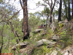 20070114-Coba 297 